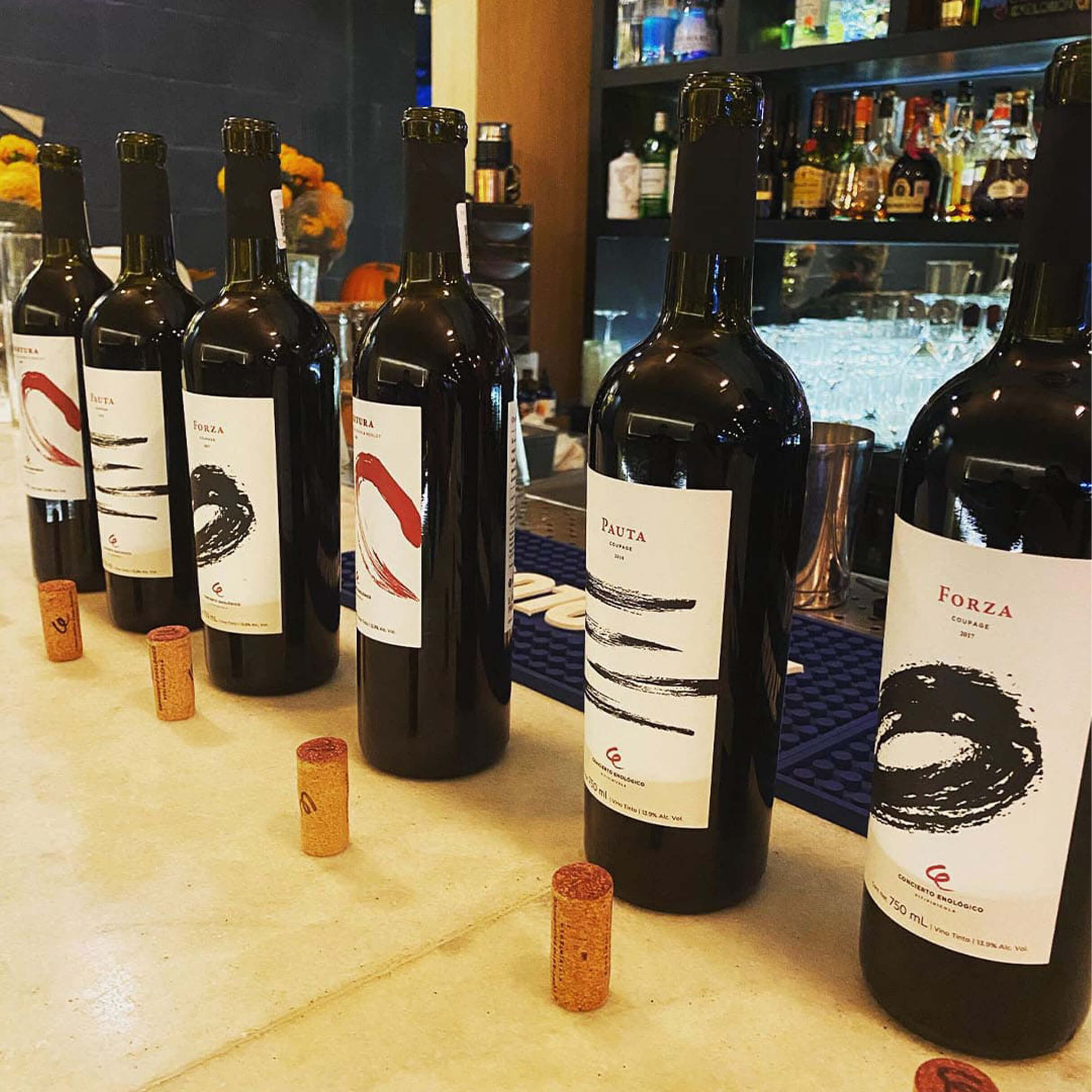 Cata Vertical